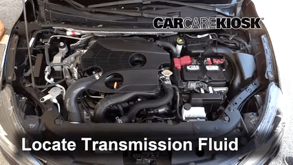 How to Add Power Steering Fluid to a 2018 Nissan Sentra SR Turbo 1.6L 4